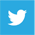 icon-twitter
