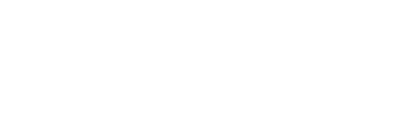 AltaFiber