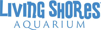 logo Castle Park